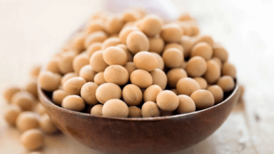 What Makes Soybean So Healthy For Men?