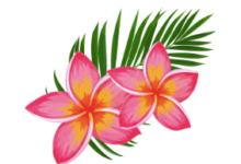 Clipart:R5hk-Xlkdh8= Hawaiian Flower