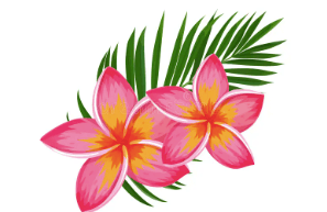 Clipart:R5hk-Xlkdh8= Hawaiian Flower