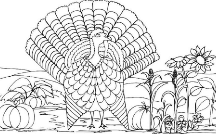 Free Printable:-Svqwomek_Y= Thanksgiving Coloring Pages