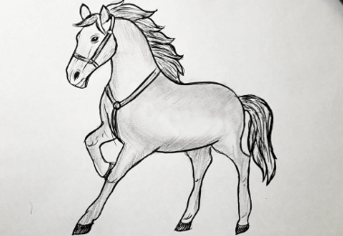 Drawing:Ljd413jlg70= Horse