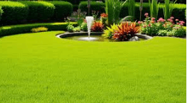 Lawn Care Essentials: How to Keep Your Grass Healthy and Green