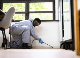 The Importance of Pest Inspection for Protecting Your Home