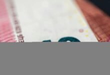economic sector value enhancement