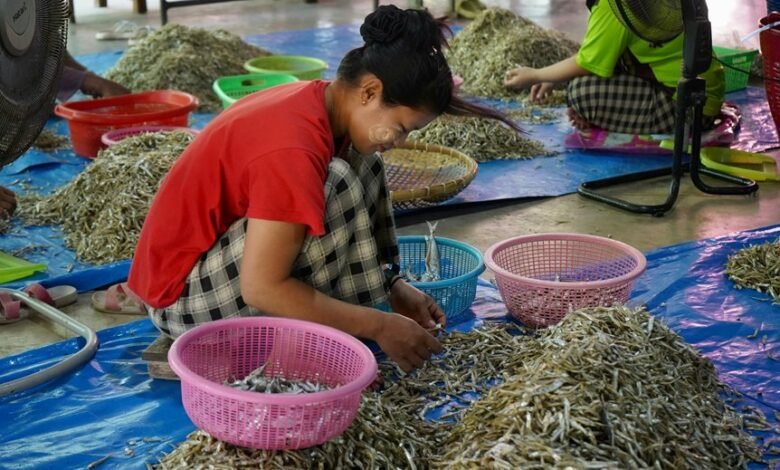 market impact of luciyalowe