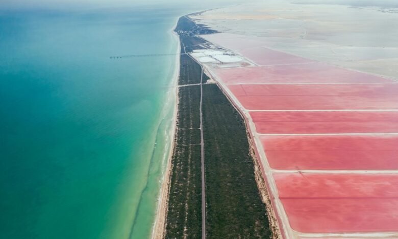 rhudrigues drives industry expansion