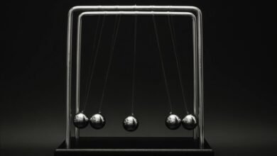 stellar momentum start 9478880418