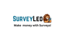 Top Paid Survey Sites: A Practical Guide to Earning Extra Income from Home