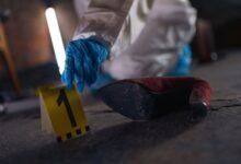 number registry evidence for five numbers