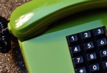 public numbers requested search results