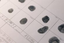 public registry numbers listed