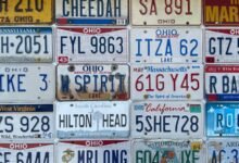 public registry source ids retrieved