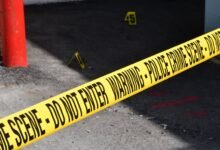 registry investigation entries identified for five ids