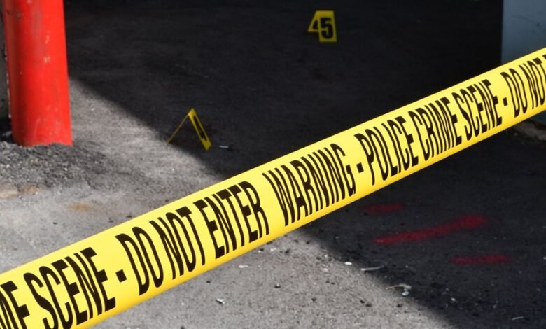 registry investigation entries identified for five ids