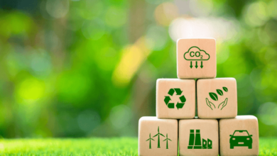 A Guide To Making Your Company's Physical Branding More Sustainable