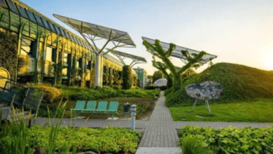 Who Pays for Decarbonisation? Inside the Economics of Cleaner Industry
