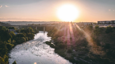 The People Behind the Record and How NAEGELI Deposition & Trial Trains Court Reporters in Spokane
